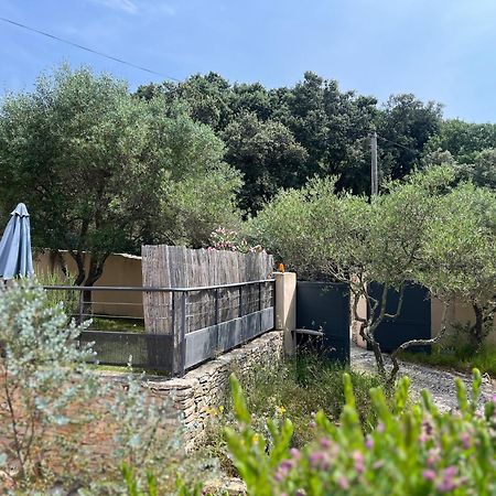 Villa Pierre Blanche Le Calme A 5Mn Du Centre Ville 尼姆 外观 照片