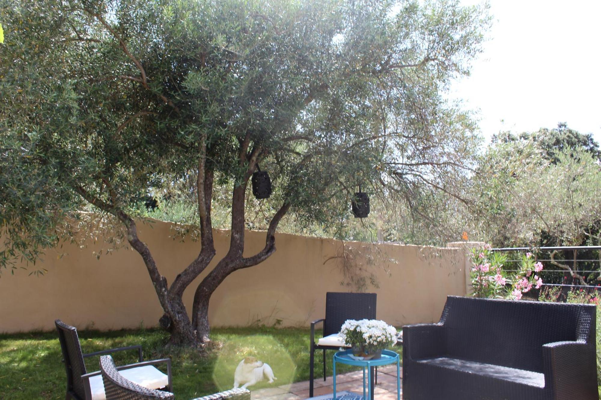 Villa Pierre Blanche Le Calme A 5Mn Du Centre Ville 尼姆 外观 照片